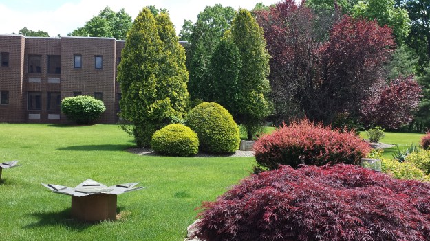 My Visit To The Rose Mountain Rehabilitation and Care